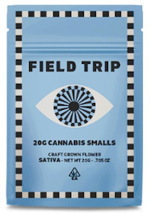 FIELD TRIP (MO) - Field Trip - Flower - Mango Haze - 20G