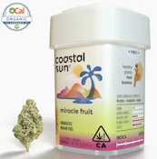 Coastal Sun Flower 7g - Miracle Fruit 29%