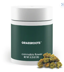 GRASSROOTS (NM) - [MED] Grassroots | Mimosa Kush Mints | 7g Flower