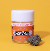 Skyworld - Sherb Cream Pie - 3.5g - Flower