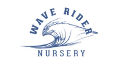 Wave Rider - Grapes & Cream (H) | 7g Jar | Wave Rider