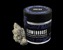 Garlic Knots - 3.5g Flower