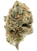 Herbarium | Blueberry Squirter | 1/2 OZ Flower