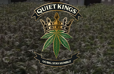 QUIET KINGS - Jack Herer | 14g | Quiet Kings