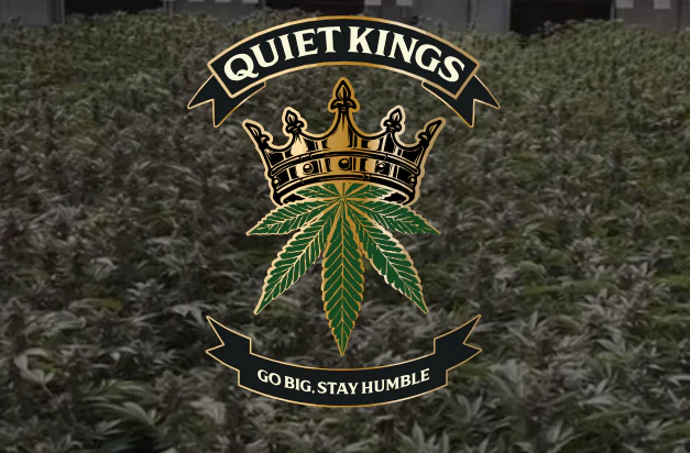 Quiet Kings - Jack Herer | 7g | Quiet Kings Main Image
