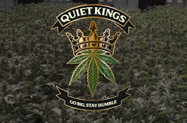 Lemon Zest | 2.5g | 5pack Sauce and Diamond Infused Pre Rolls | Quiet Kings