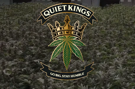 QUIET KINGS - Lemon Zest | 2.5g | 5pack Sauce and Diamond Infused Pre Rolls | Quiet Kings