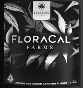 Floracal - Floracal - Flower - Maui Punch - 14G