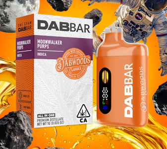 DABWOODS - Dabwoods - Moonwalker Purps - 1g All-In-One DabBar