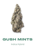Gush Mints | Buds | 3.5g