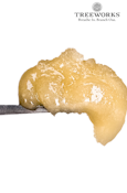 GMBlow V2 - 1g Live Rosin Jam - Treeworks