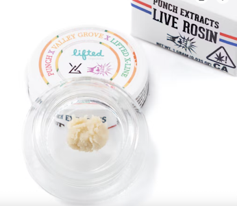 PUNCH EDIBLES & EXTRACTS - Punch Extracts | Papaya Funk Mountain Tier 4 Live Rosin Cold Cure Badder 1g