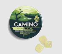 CAMINO 1:3 CBD Sparkling Pear Gummies 20pk