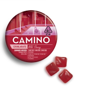 CAMINO 1:1:1 CBG Wild Cherry Gummies 20pk