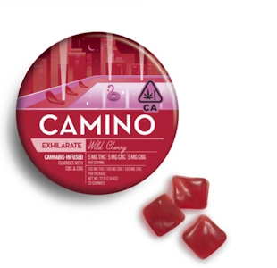 CAMINO - CAMINO 1:1:1 CBG Wild Cherry Gummies 20pk