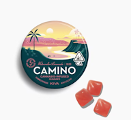CAMINO 100mg Watermelon Lemonade Gummies 20pk
