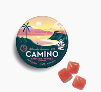 CAMINO - CAMINO 100mg Watermelon Lemonade Gummies 20pk