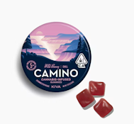 CAMINO 100mg Wild Berry Gummies 20pk
