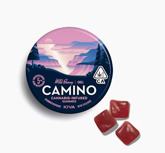 CAMINO - CAMINO 100mg Wild Berry Gummies 20pk