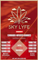 Sky Lyfe - Cherry Gummies - 100mg