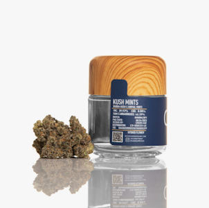 CAM Distribution - CAM | Kush Mints | Pre-Pack | [3.5g] | Hybrid