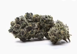 Moon Cherries | 4g | Hydrotic