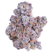 Hawaiian Fusion | 14g | Hydrotic
