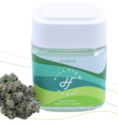 [REC] Hillview Farms | Cereal Milk | 3.5g Premium Flower