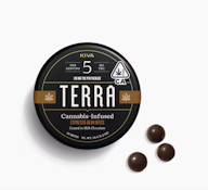 TERRA 100mg Dark Chocolate Espresso Beans 20pc