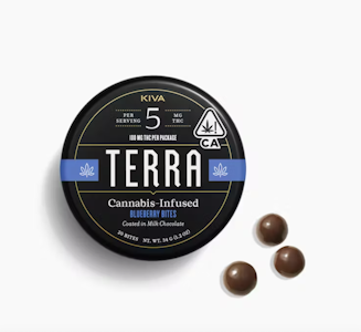 TERRA - TERRA 100mg Milk Chocolate Blueberry Bites 20pc
