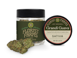 Grandi Guava 7g Flower | Florist Farms
