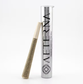 Aeterna - Ego Checker - 1g - Preroll