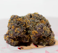 TEDS BUDZ 3.5G Rainbow Trout Flower