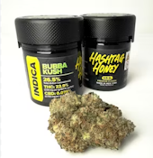 BUBBA KUSH FLOWER - HASHTAG HONEY - 3.5g