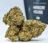 Kosher Kush 3.5g Prepack