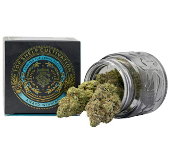 TOP SHELF CULTIVATION - Blueberry Gas | 3.5g | Top Shelf Cultivation