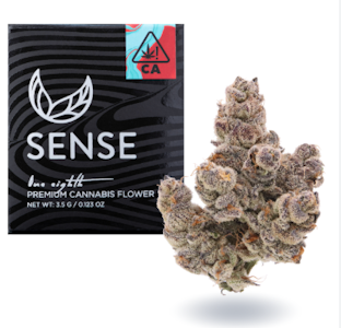 SENSE - Sense - 1/8th Jar - Pie Scream