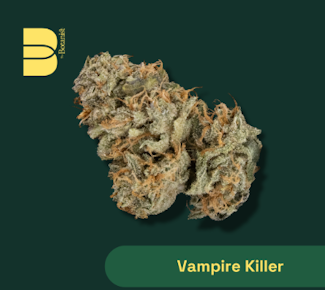 The Bontanist | Flower - Vampire Killer | 3.5g