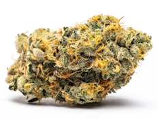 1g - Gary Payton - Hybrid