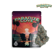 Seed Junky 3.5G Paradize Cove Indoor Flower