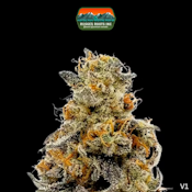 Flower | Swamp Water Fumez