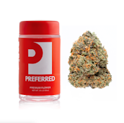 PREFERRED 3.5G Perm Lee Indoor Flower