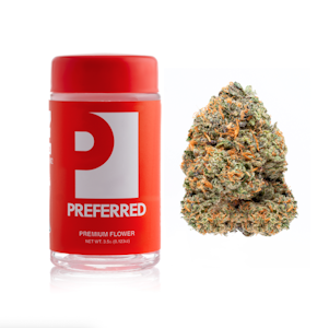 PREFERRED GARDENS - PREFERRED 3.5G Perm Lee Indoor Flower