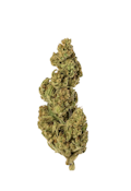 Hurley - Galactic Guava - 3.5g - Flower