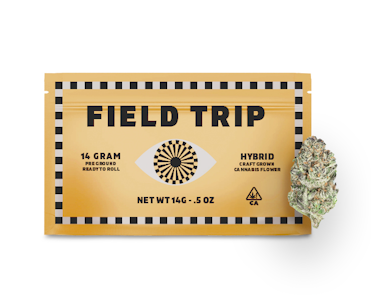 Field Trip - Field Trip Pre-Ground 14g Smooth Operator