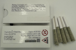 Dogwalkers 5 Pack Minis Slapz (H) 00716