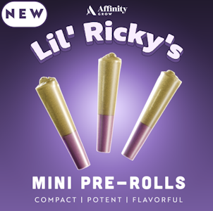 AFFINITY - Sunshine Daydream Lil' Ricky's T20.27% I 00504