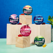    Camino Sours - Tropical Burst Energy Gummies - 100mg 2:1 THC/THCv 10-Pack