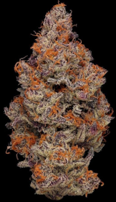 Priscilla's Garden | Flower - Lunch Money | 3.5g