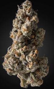 Priscilla's Garden | Flower - Mule Fuel | 3.5g
